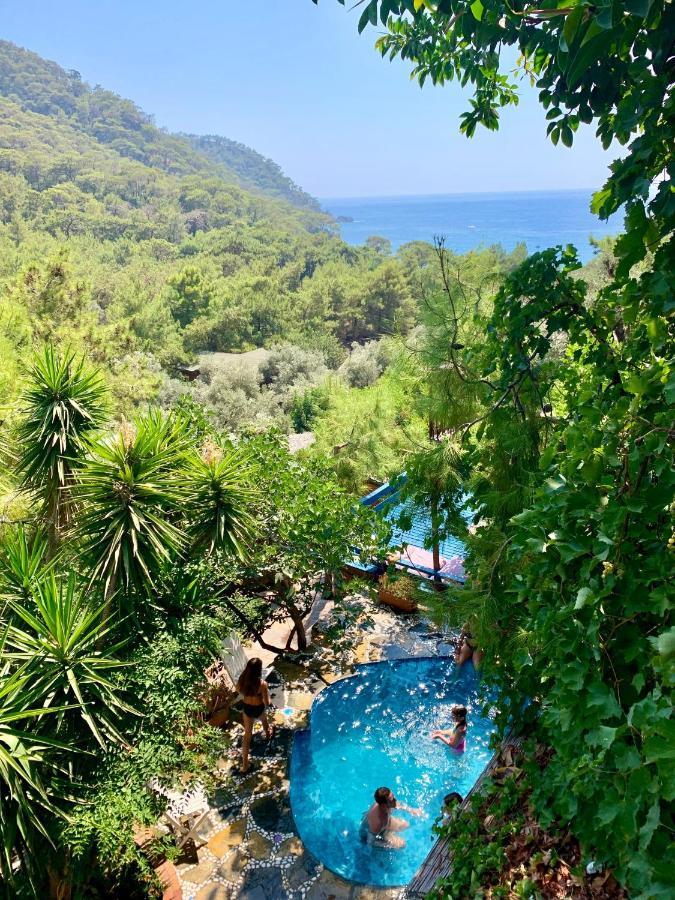 Bamboo Bungalow With Sea View In Kabak Bay, Oeluedeniz Fethiye Dış mekan fotoğraf